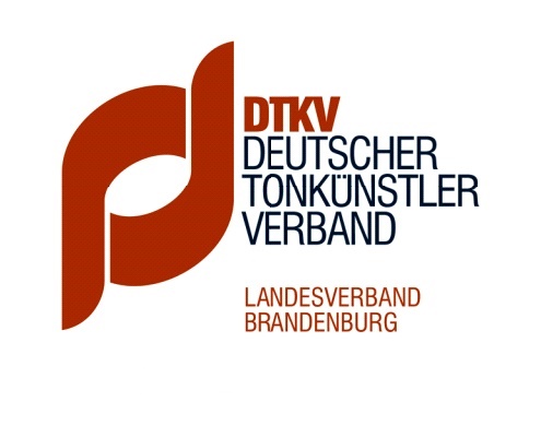 DTKV BB Kommentierung Stellungnahme VDM